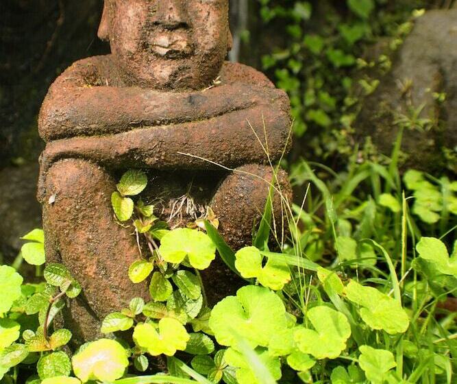 호텔 Lost Iguana Resort And Spa