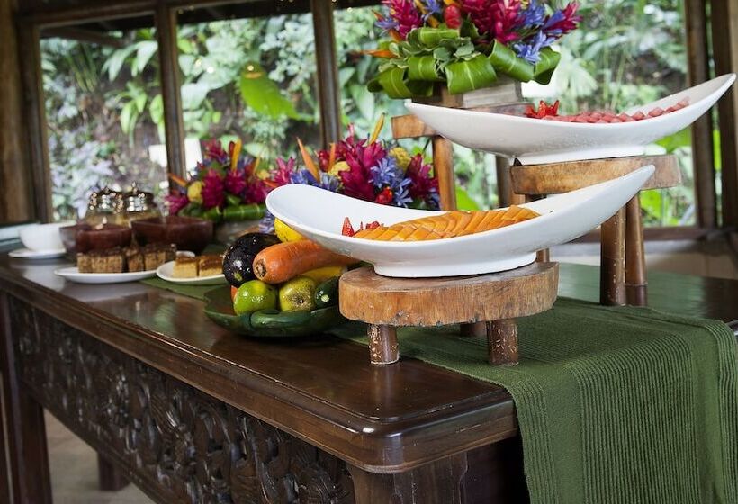 호텔 Lost Iguana Resort And Spa