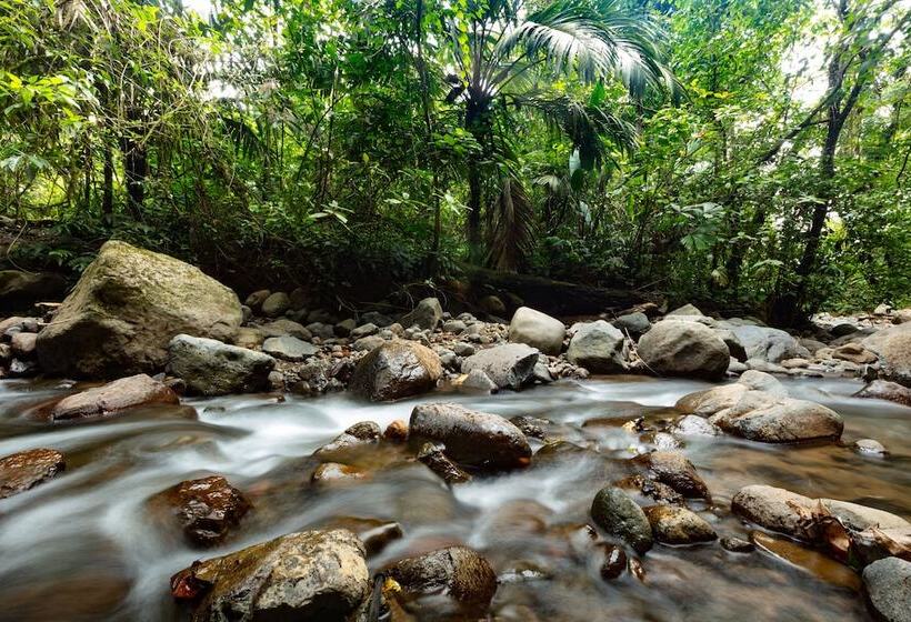 فندق Lost Iguana Resort And Spa