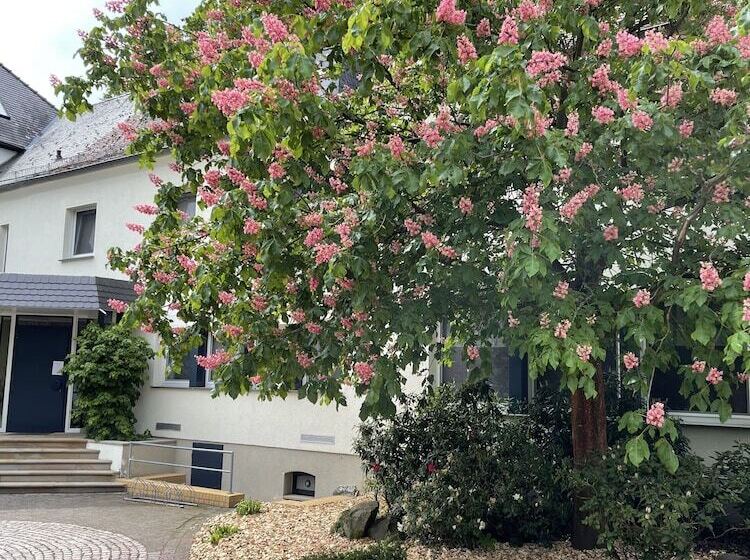 فندق Luther Birke Wittenberg