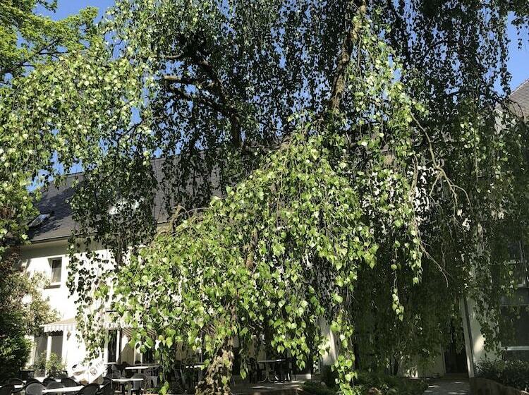 فندق Luther Birke Wittenberg