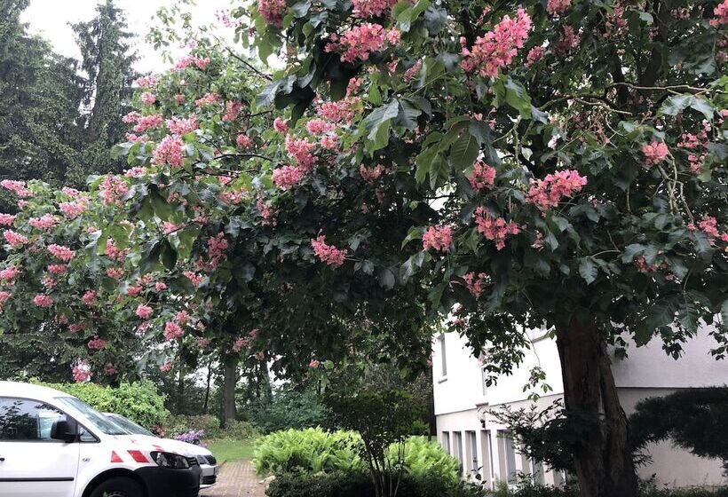 فندق Luther Birke Wittenberg