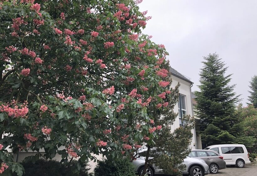 فندق Luther Birke Wittenberg