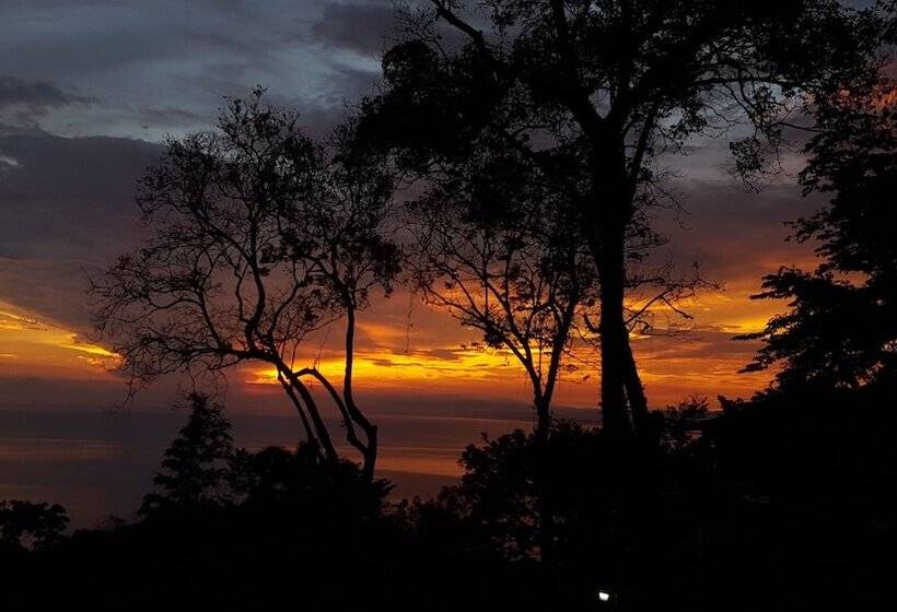 酒店 Mango Moon Villa