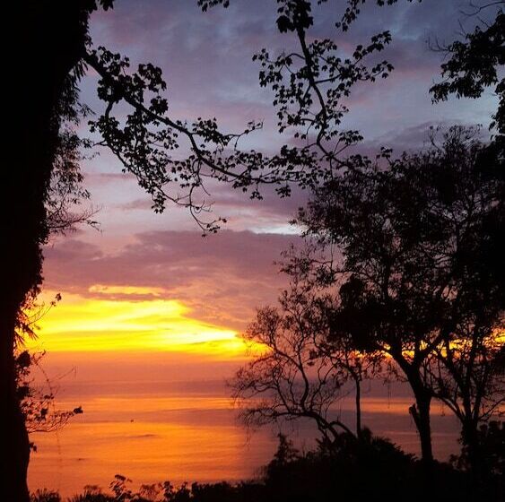 酒店 Mango Moon Villa