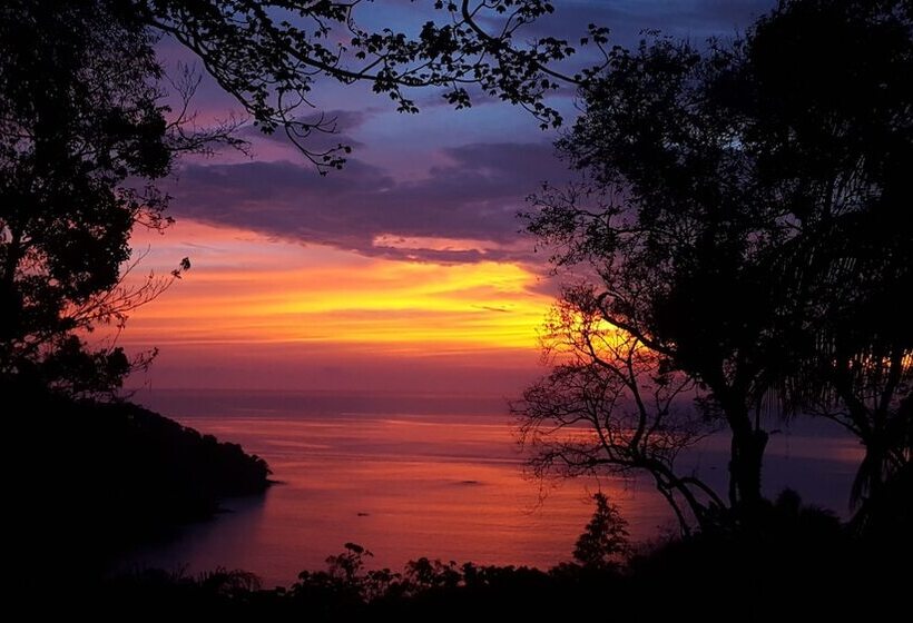 酒店 Mango Moon Villa