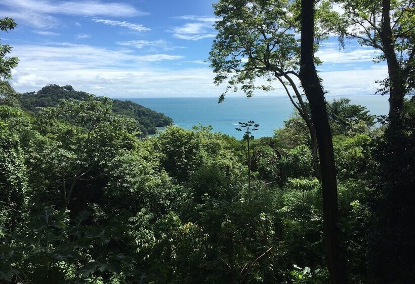 酒店 Mango Moon Villa