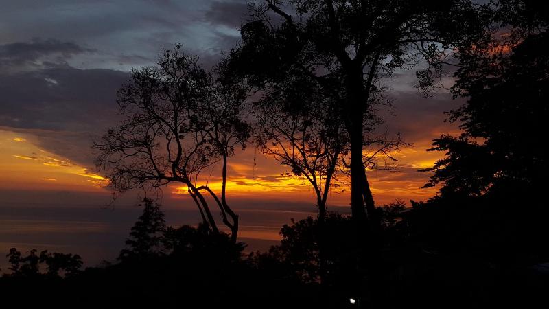 酒店 Mango Moon Villa