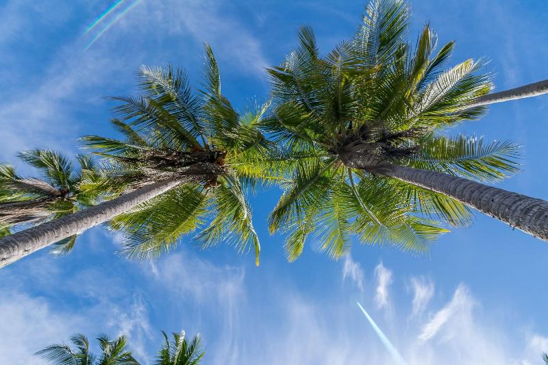 فندق Manuel Antonio