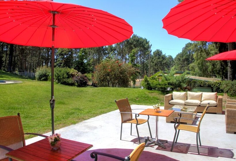 호텔 Neike Boutique