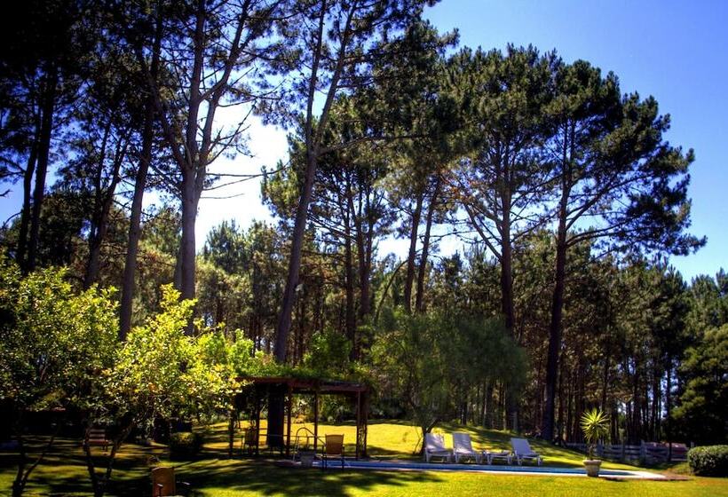 호텔 Neike Boutique