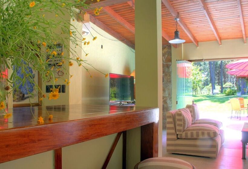 هتل Neike Boutique