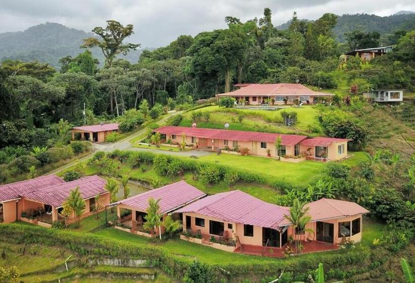 فندق Nepenthe B&b