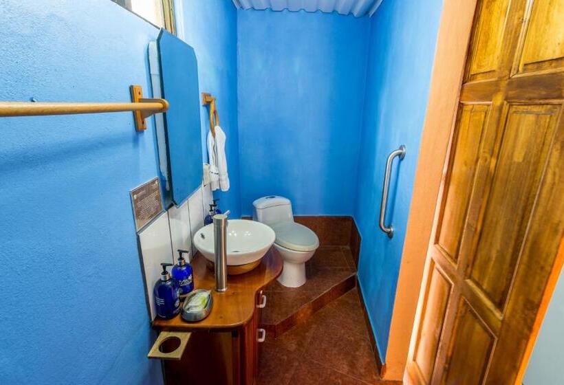 فندق Nepenthe B&b