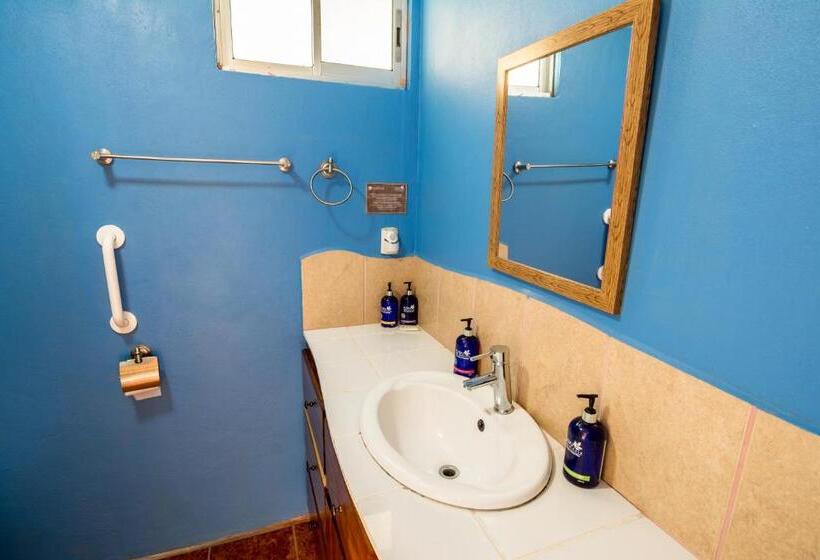 فندق Nepenthe B&b