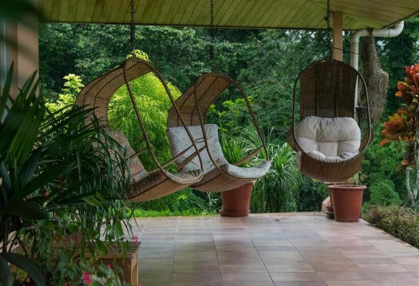 فندق Nepenthe B&b