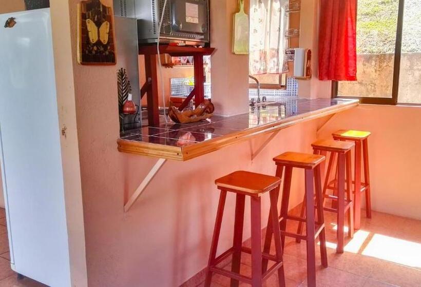 فندق Nepenthe B&b