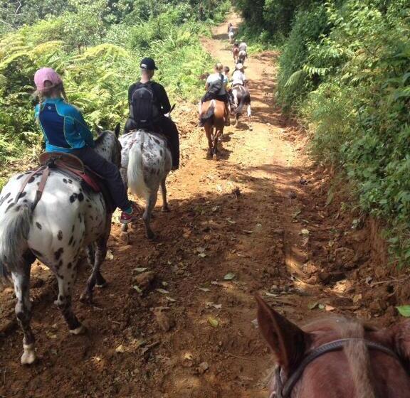 فندق Nepenthe B&b