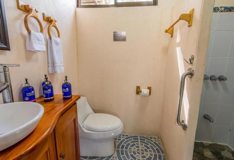 فندق Nepenthe B&b