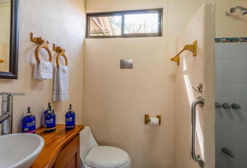 فندق Nepenthe B&b