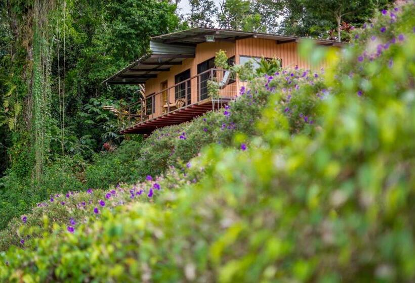 فندق Nepenthe B&b