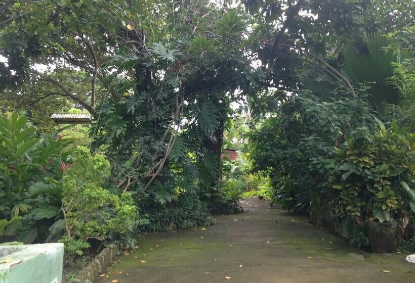 בית מלון כפרי Ometepetl