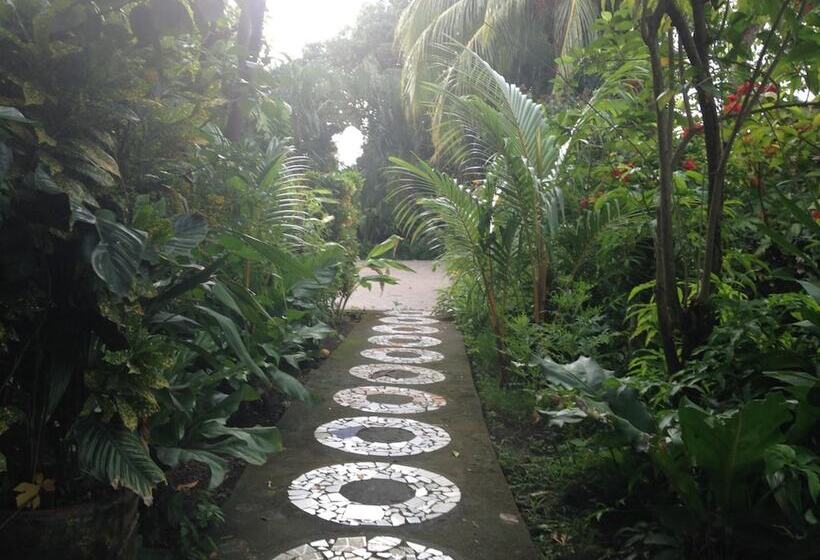 בית מלון כפרי Ometepetl