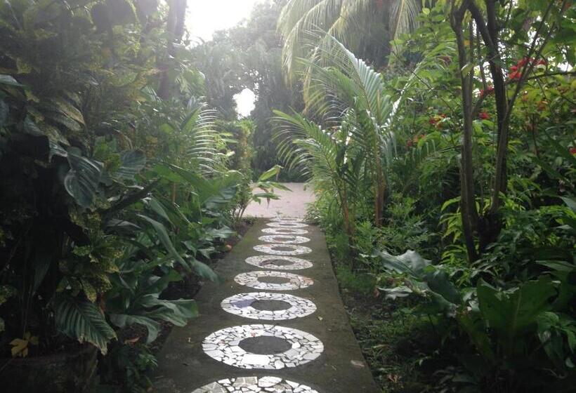 בית מלון כפרי Ometepetl