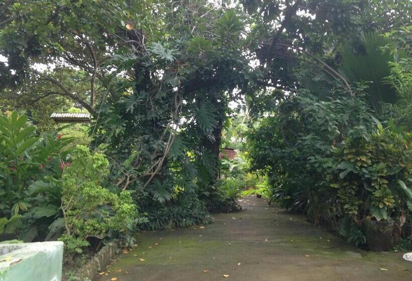 בית מלון כפרי Ometepetl