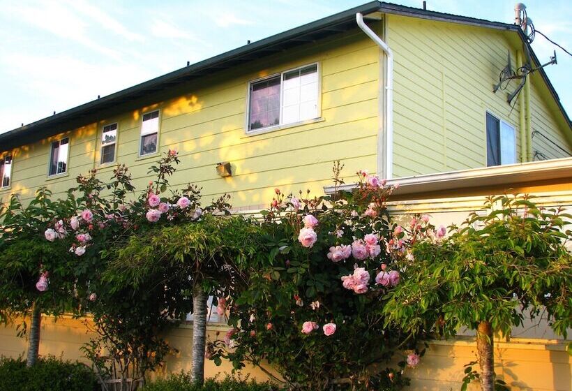 酒店 Pacific City Inn