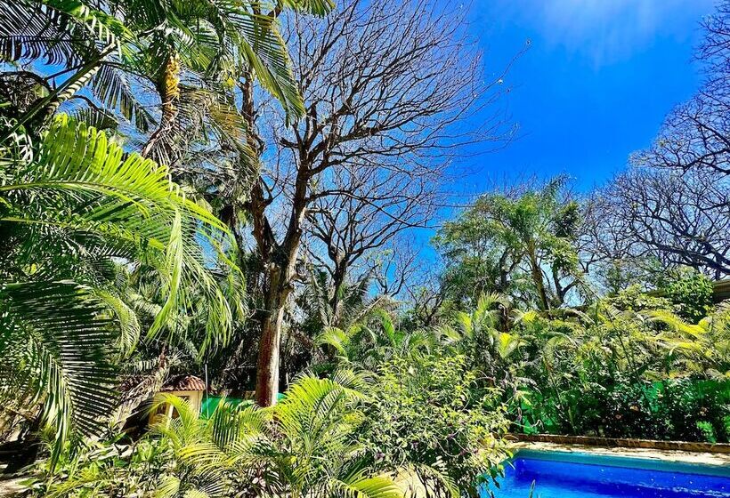 هتل Pacifica Surf Studios