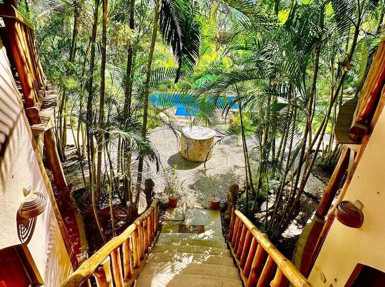 هتل Pacifica Surf Studios