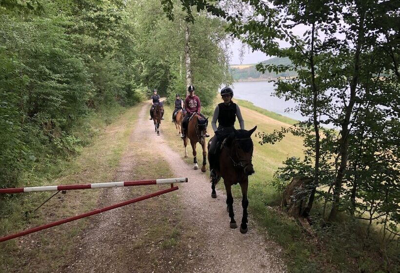 ホテル Pension & Reitschule Fuchsenhof