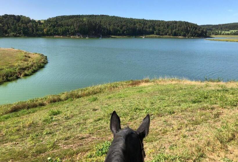 ホテル Pension & Reitschule Fuchsenhof