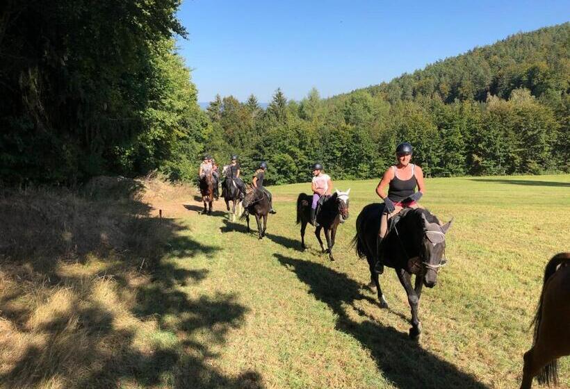 ホテル Pension & Reitschule Fuchsenhof