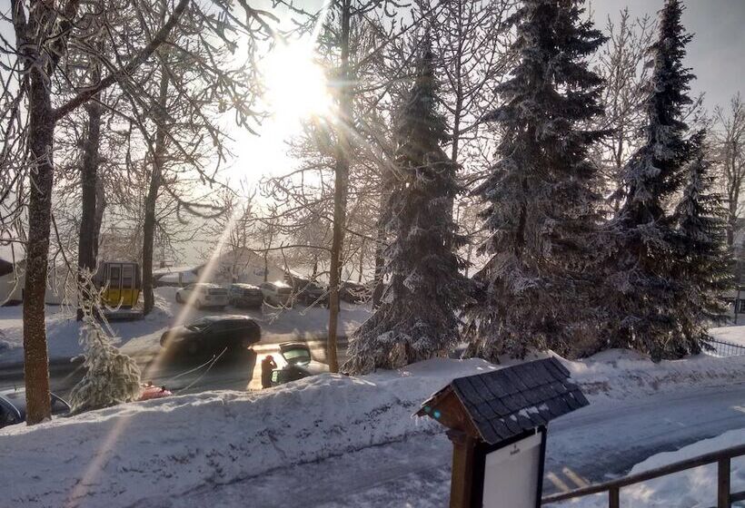 酒店 Pension Stiegelmeier