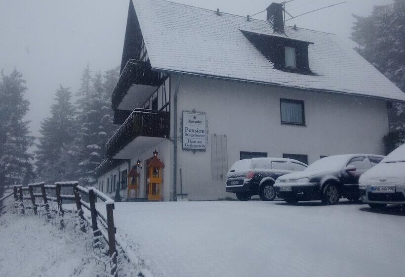 酒店 Pension Stiegelmeier