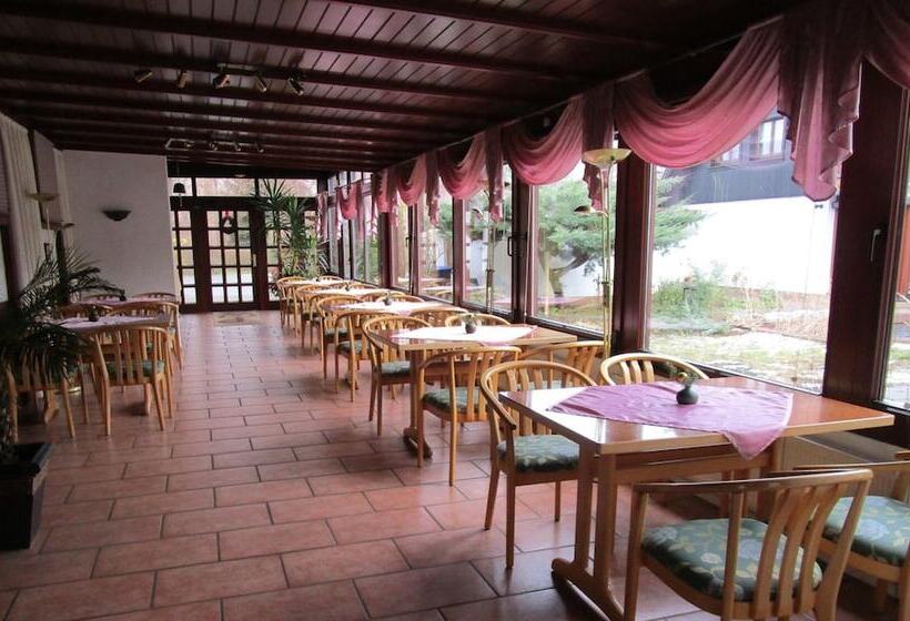 فندق Pension Willischza