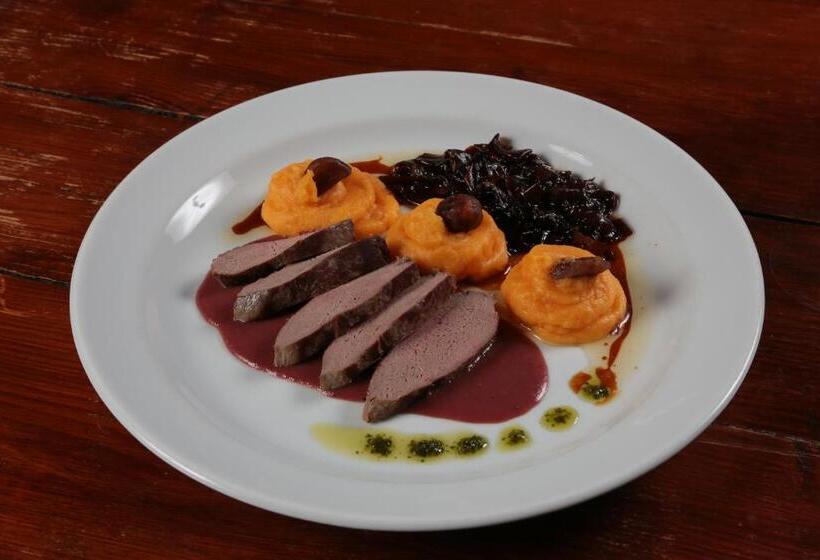 בית מלון כפרי Plesivec