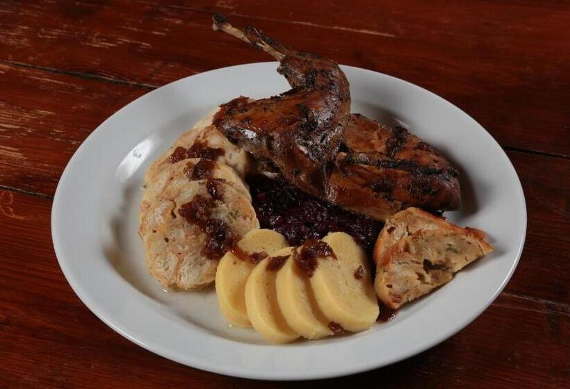 בית מלון כפרי Plesivec