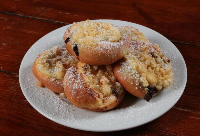 בית מלון כפרי Plesivec