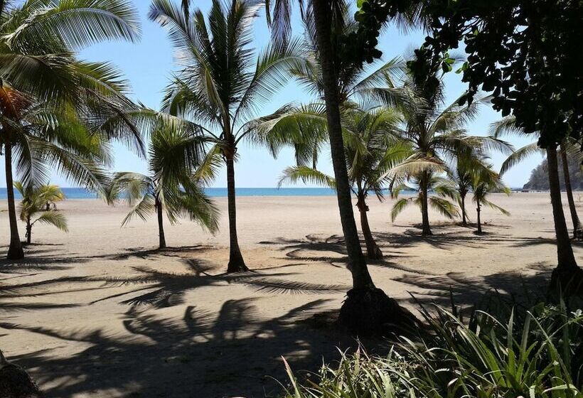 酒店 Pochote Grande