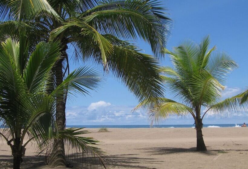 酒店 Pochote Grande