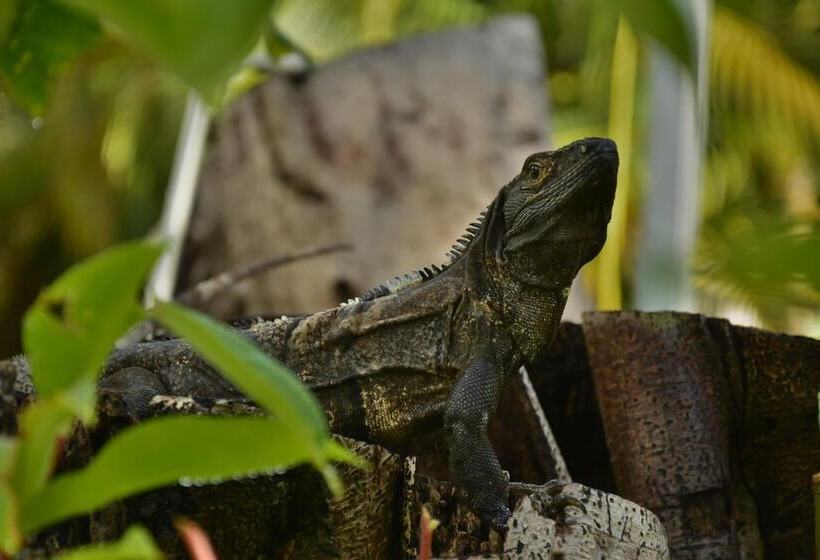 酒店 Pochote Grande