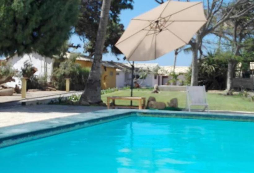 酒店 Punta Ballenas Inn  Máncora