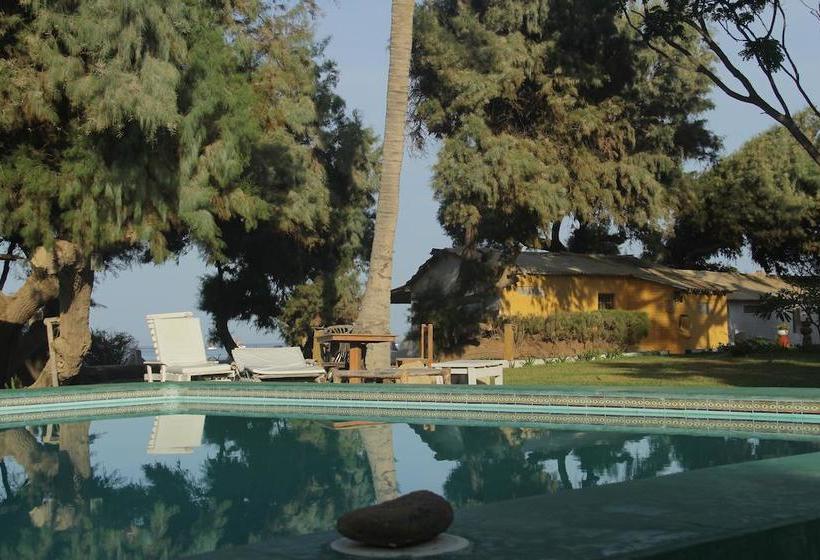 酒店 Punta Ballenas Inn  Máncora