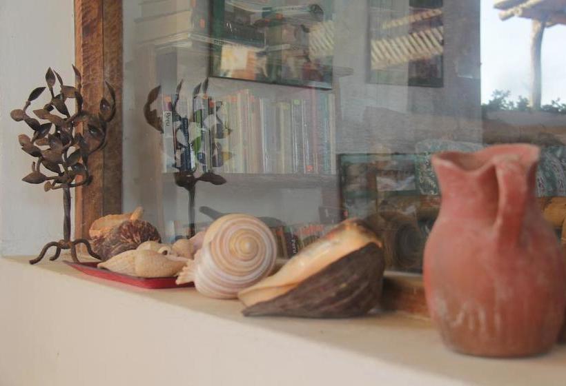 酒店 Punta Ballenas Inn  Máncora