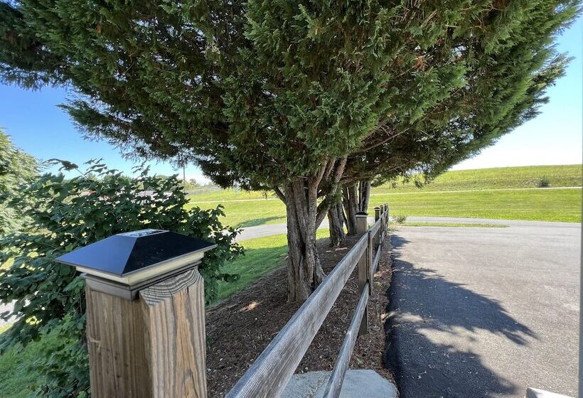 ホテル Relax Inn In Natural Bridge