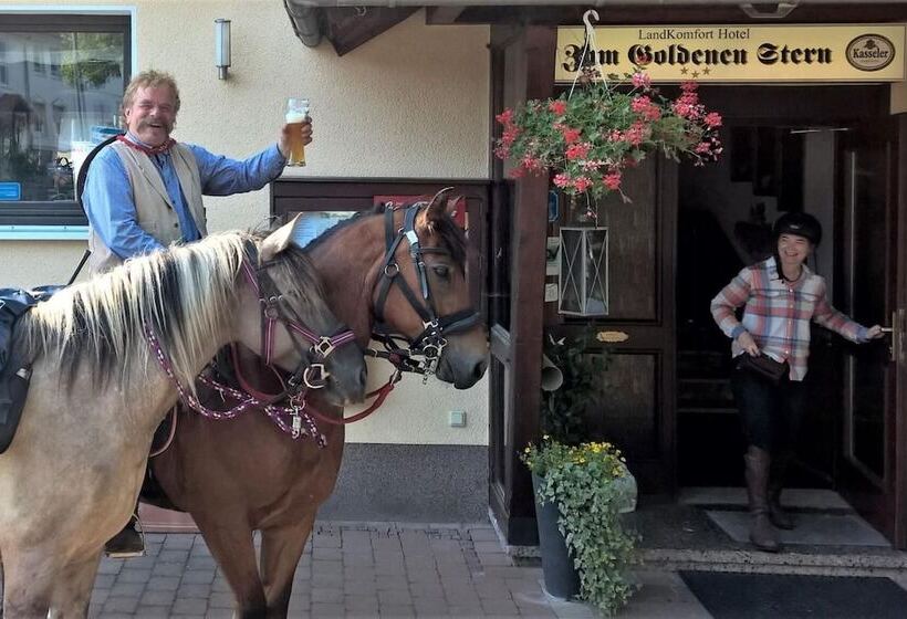 Отель Restaurant Zum Goldenen Stern