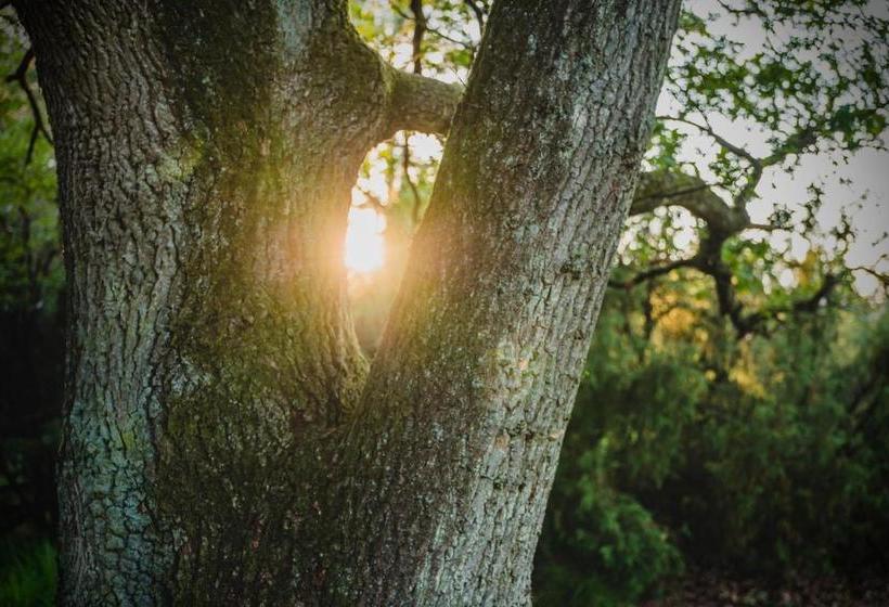 호텔 Restinn Emmen